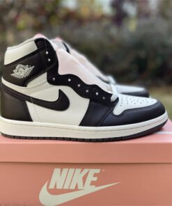 Jordan 1 High OG Light Madder Root